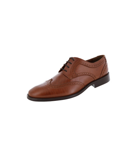 Evolución Zapato de Vestir...