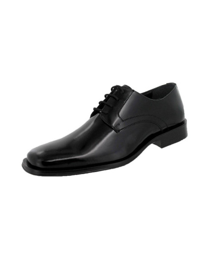 25705 Colomba Negro Perfil lievant recortado