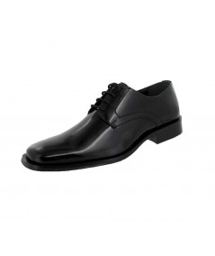 25705 Colomba Negro Perfil lievant recortado