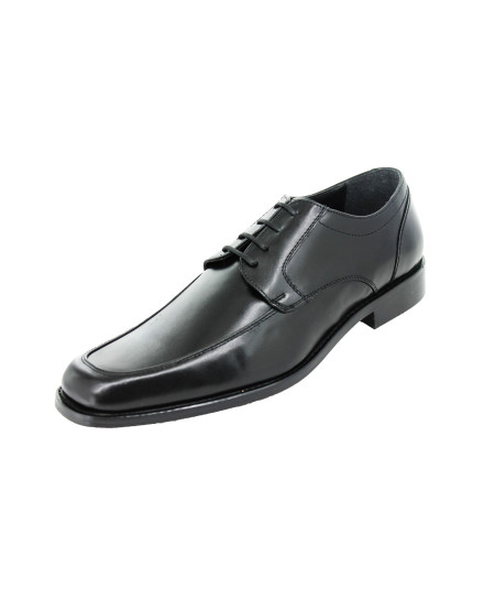 20460-PEGASO-NEGRO-PRINCIPAL