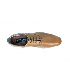 1251-PEGASO-MIEL-AEREO