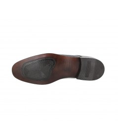 21006-camaleon-cafe-cameleon-gr-l1-cafe-vista-suela