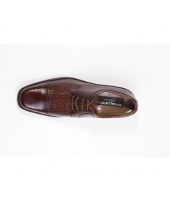 20408_colomba_testa_petatillo_testa_cen